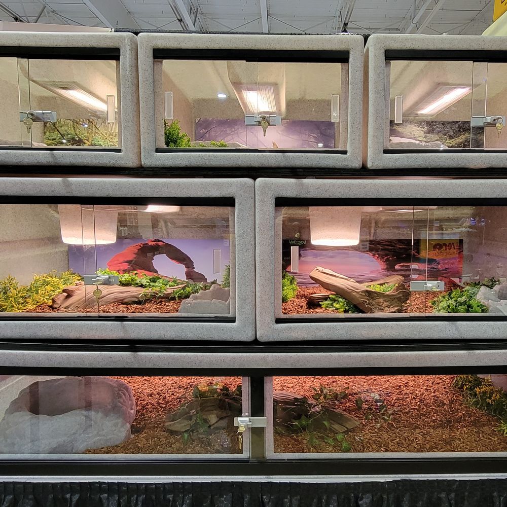 Reptile Enclosure Materials What's the Best Material for You